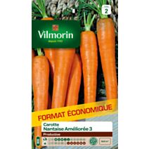 Graines Carotte Nantaise Améliorée 3 Grand Format - VILMORIN
