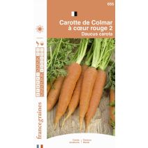 Graines Carotte de Colmar à Cœur Rouge 2 - FRANCE GRAINES