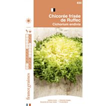 Graines Chicorée Frisée de Ruffec - FRANCE GRAINES