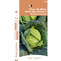 Graines Chou de Milan Gros des Vertus 4 - FRANCE GRAINES