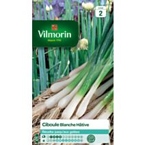 Graines Ciboule Blanche Hâtive - VILMORIN