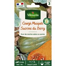 Graines Courge Musquée Sucrine du Berry - VILMORIN