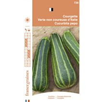 Graines Courgette Verte Non Coureuse d'Italie - FRANCE GRAINES
