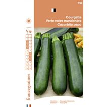 Graines Courgette Verte Noire Maraîchère - FRANCE GRAINES