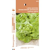 Graines Laitue Pommée Grosse Blonde Paresseuse - FRANCE GRAINES
