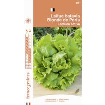 Graines Laitue Batavia Blonde de Paris - FRANCE GRAINES