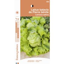 Graines Laitue Batavia de Pierre Bénite - FRANCE GRAINES