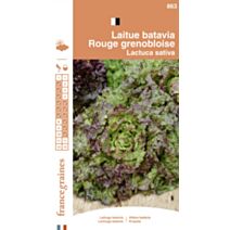 Graines Laitue Batavia Rouge Grenobloise - FRANCE GRAINES