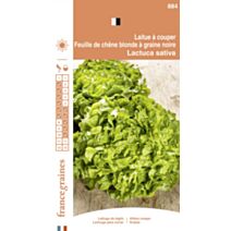 Graines Laitue à Couper Feuille de Chêne Blonde - FRANCE GRAINES