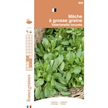 Graines Mâche à Grosse Graine - FRANCE GRAINES