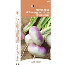 Graines Navet Râve d'Auvergne Hâtive - FRANCE GRAINES