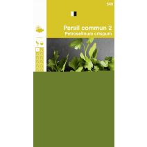 Graines Persil Commun 2 - FRANCE GRAINES
