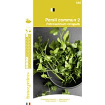 Graines Persil Commun 2 - FRANCE GRAINES