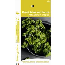 Graines Persil Frisé Vert Foncé - FRANCE GRAINES