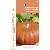 Graines Potiron Rouge Vif d'Etampes - FRANCE GRAINES