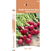 Graines Radis Rond Écarlate - FRANCE GRAINES