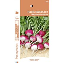 Graines Radis National 2 - FRANCE GRAINES