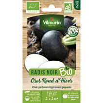 Graines Radis Noir Gros Rond d'Hiver Bio - VILMORIN