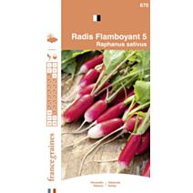 Graines Radis Flamboyant 5 - FRANCE GRAINES