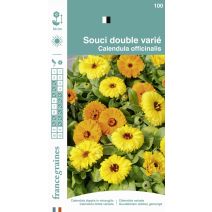 Graines Souci Double Varié - FRANCE GRAINES