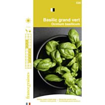 Graines Basilic Grand Vert - FRANCE GRAINES