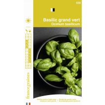 Graines Basilic Grand Vert - FRANCE GRAINES