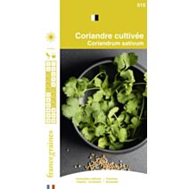 Graines Coriandre Cultivée - FRANCE GRAINES