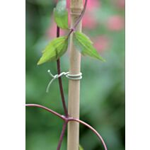 lien rugueux en bobine  - NORTENE