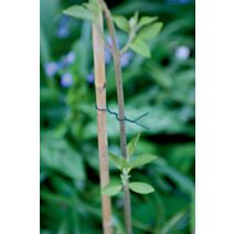 fil de fer plastifié en bobine  - NORTENE