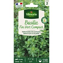 Graines Basilic Fin Vert Compact - VILMORIN