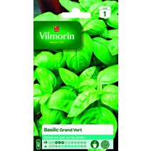 Graines Basilic Grand Vert - VILMORIN