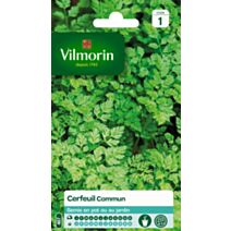 Graines Cerfeuil Commun - VILMORIN