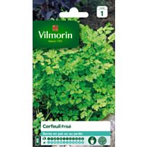 Graines Cerfeuil Frisé - VILMORIN