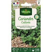 Graines Coriandre Cultivée - VILMORIN
