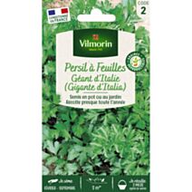Graines Persil Gigante d'Italia - VILMORIN