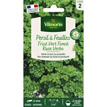 Graines Persil Frisé Vert Foncé Race Verbo - VILMORIN