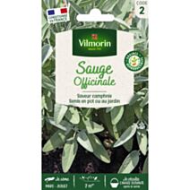 Graines Sauge Officinale - VILMORIN