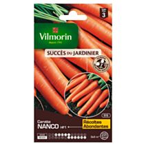 Graines Carotte Nanco HF1 - VILMORIN