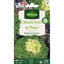 Graines Chicorée Frisée de Meaux - VILMORIN