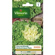 Graines Chicorée Scarole Ronde Verte à Cœur Plein - VILMORIN