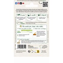 Graines Chicorée Scarole Cornet d'Anjou - VILMORIN