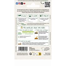Graines Chou Blanc Tête de Pierre HF1 - VILMORIN