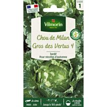 Graines Chou de Milan Gros des Vertus - VILMORIN