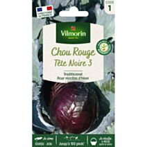 Graines Chou Rouge Tête Noire 3 - VILMORIN