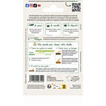 Graines Cornichon Parigyno HF1 - VILMORIN
