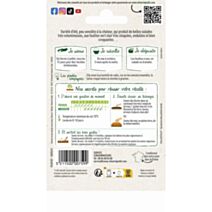 Graines Laitue Batavia Blonde de Paris - VILMORIN