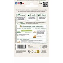 Graines Laitue Batavia Reine des Glaces - VILMORIN