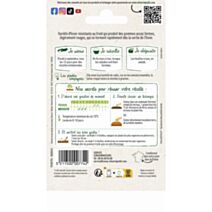 Graines Laitue d'Hiver Brune d'Hiver - VILMORIN