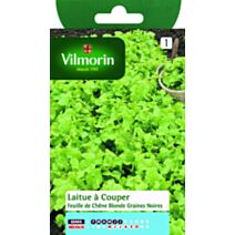Graines Laitue à Couper Feuille de Chêne Blonde - VILMORIN