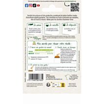 Graines Mâche Vit - VILMORIN